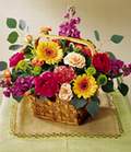 Temelli �i�ek g�nderme sitemiz g�venlidir  Sebboy Gerbera Karanfil tanzim