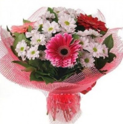 Gerbera ve k�r �i�ekleri buketi Temelli ankara �i�ek�i telefonlar� yurti�i ve yurtd��� �i�ek sipari�i 