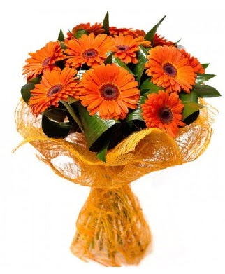 11 adet turuncu gerbera buketi Temelli ankara �i�ekleri g�venli kaliteli h�zl� �i�ek 