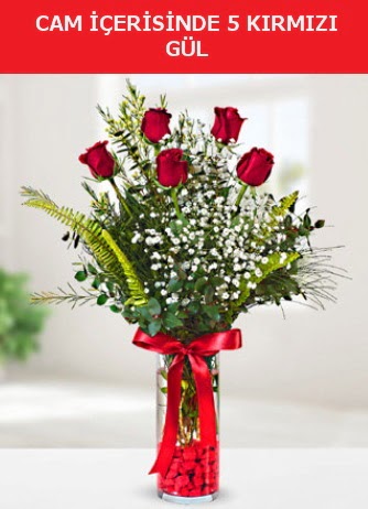 Cam i�erisinde 5 adet k�rm�z� g�l Temelli ankara �i�ek ma�azas� , �i�ek�i adresleri 