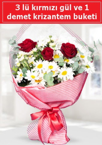 3 adet k�rm�z� g�l ve krizantem buketi Ankara Temelli online �i�ek g�nderme sipari� 