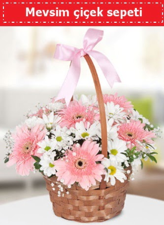 Mevsim k�r �i�ek sepeti Temelli anneler g�n� �i�ek yolla 
