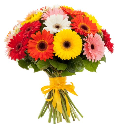 Gerbera demeti buketi Ankara Temelli 14 �ubat sevgililer g�n� �i�ek 