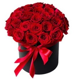 25 adet k�rm�z� g�l k�z isteme �i�e�i Ankara Temelli kaliteli taze ve ucuz �i�ekler 