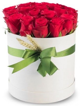 25 adet �zel kutuda k�rm�z� g�l Temelli �i�ek g�nderme sitemiz g�venlidir  s�z �i�ekler