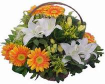 Ankara Temelli �i�ek�iler  sepet modeli Gerbera kazablanka sepet
